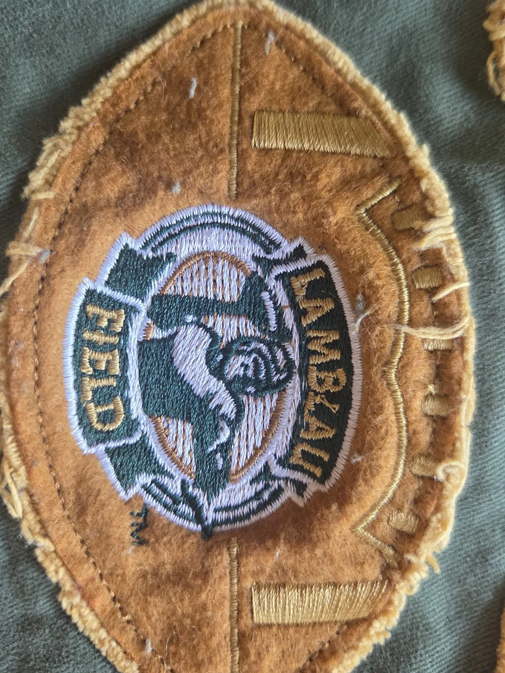 Champion Green Bay drawstring bag features olive green canvas
